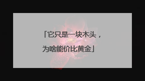 它只是一块木头，为啥能价比黄金